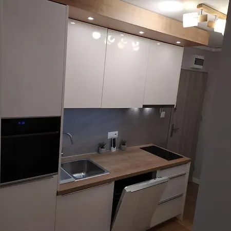 Przytulne W Poblizu Szpitala Uniwersyteckiego Prokocim Apartament *