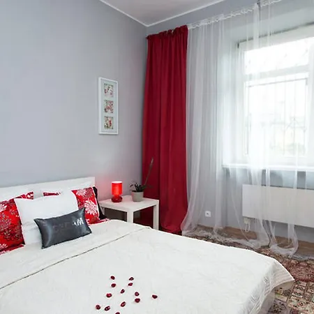 Amaryllis * Krakow