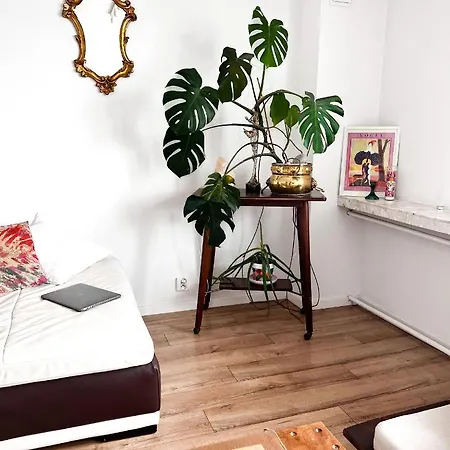 Apartment Exclusive Design Loft 60m2 Whole In The Center Of Cracow With A View! Krakow