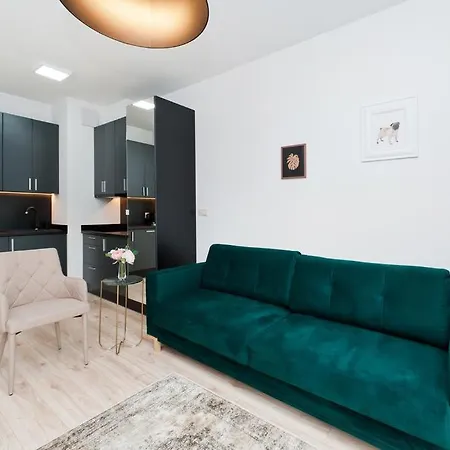 Rakowicka Wawelofts Apartment Krakow