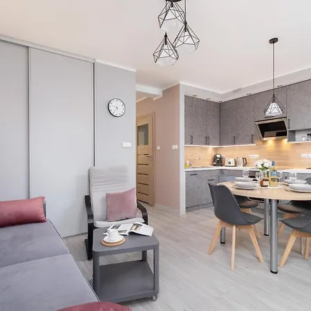 Apartment Business For Office Kolaczy By Renters Krakow
