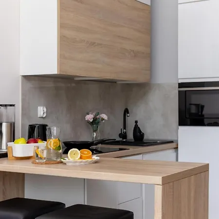Apartment The Opera Grzegorzki Arianska 4 By Renters *