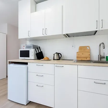 Srodmiescie Katowa Air-conditioned By Renters Apartment *