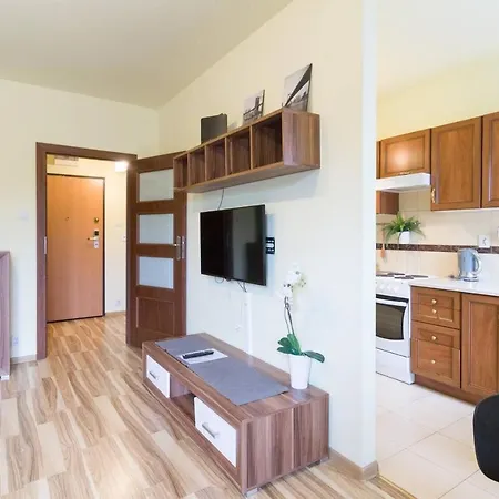 Przytulny Z Parkingiem Blisko Tauron Areny Apartament
