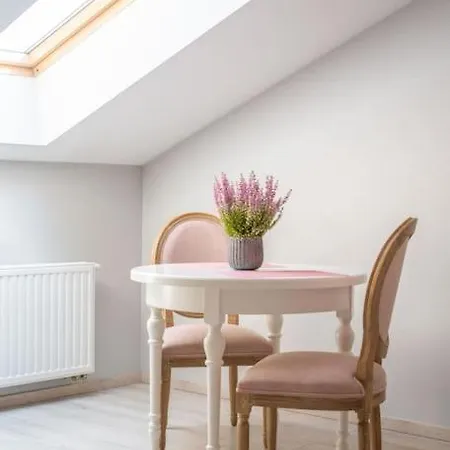 Apartament O Wysokim Standardzie W Centrum Miasta Krakov
