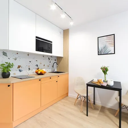Apartmán Meiera *