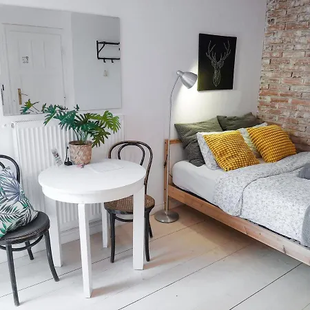 Lion - Gold Homestay Krakow