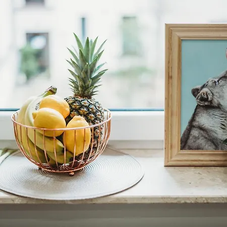 Fatcat Kraków