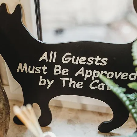 Apartament Fatcat *