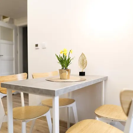 Apartment Cracwow Saint Sebastian Krakow