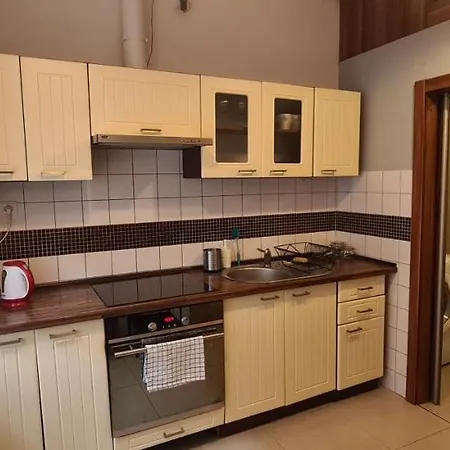 Apartment Old Cracow Krakow