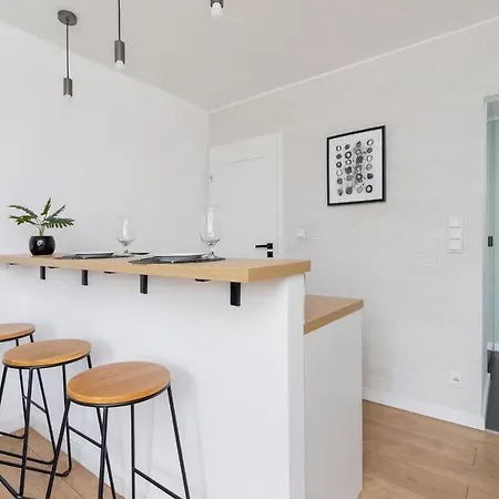 Pet-friendly Cosy Studio Skarbinskiego By Renters Apartment Krakow