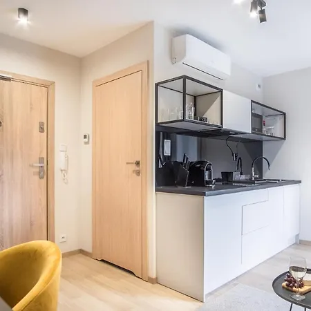 Apartament Iron *