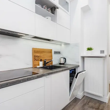 Studio Cracow Starowislna 41 & 43 By Renters Cracovia