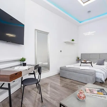 Studio Cracow Starowislna 41 & 43 By Renters Cracovia