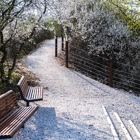 Apartament Park Zakrzowek