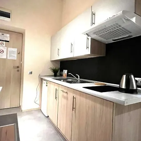 Single In Center Daire Krakow