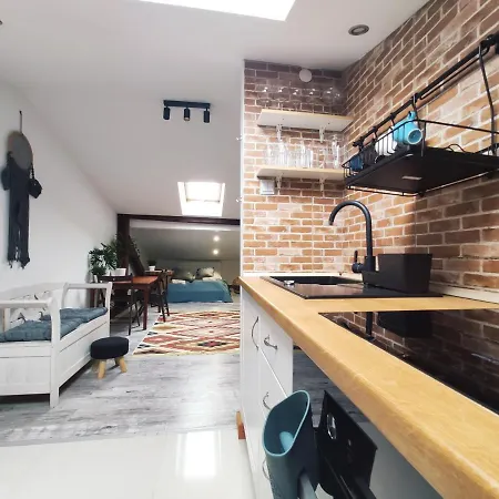 Apartament Chodkiewicza 10 Kraków