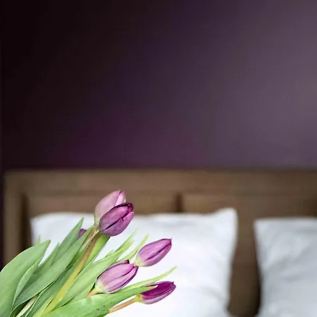 Aparthotel 4wings Krakow