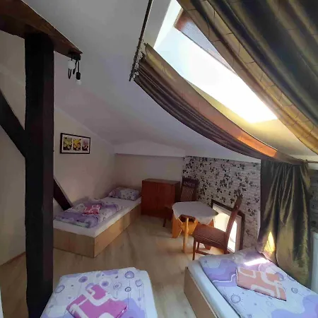 Hostel Green Krakau