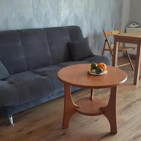 Appartement With View On Wawel Castle