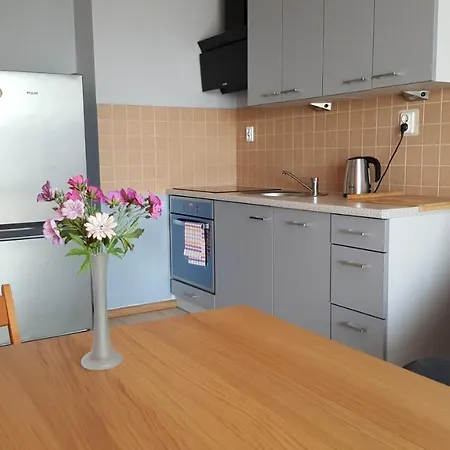 Appartement With View On Wawel Castle Krakau