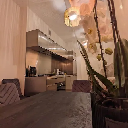 Spacious Two-bedroom In The Center Apartment Krakow