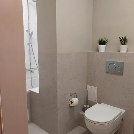 Apartment Spacious Two-bedroom In The Center Krakow