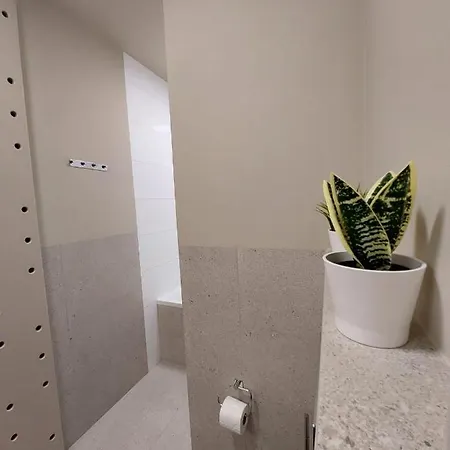 Spacious Two-bedroom In The Center Apartment