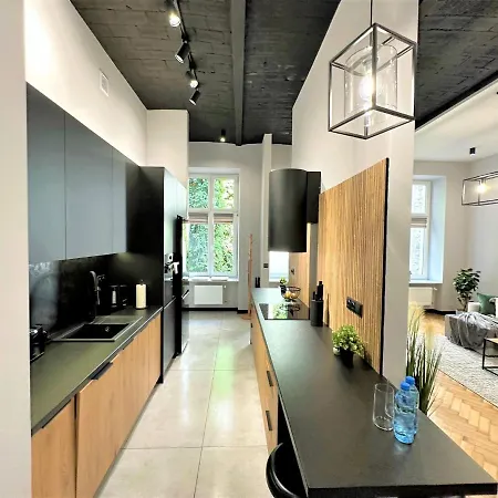 Apartment Luxury 100m2 Loft Design-apartment At Wawel + Netflix Krakow