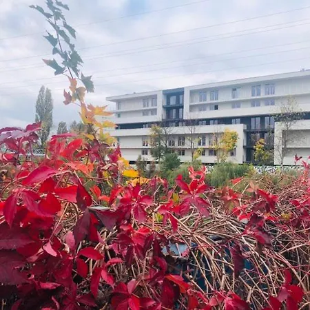 Klemens Apartament *