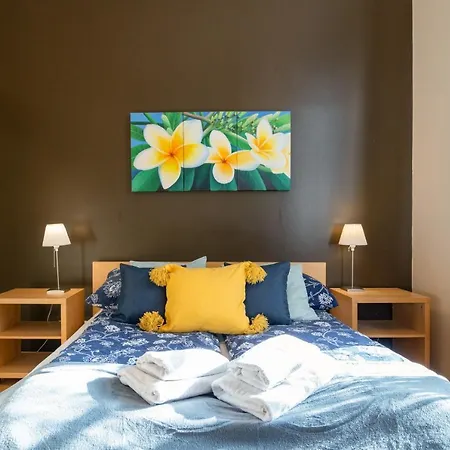 Apartment House Of Frida