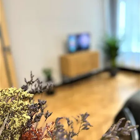 Apartment Luxury 100m2 Loft Design-apartment At Wawel + Netflix Krakow