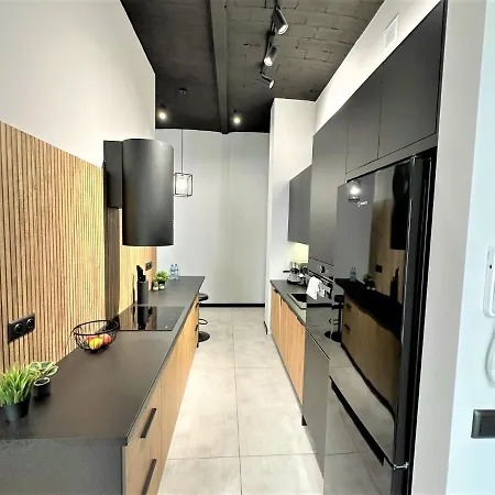 Luxury 100m2 Loft Design-apartment At Wawel + Netflix * Krakow