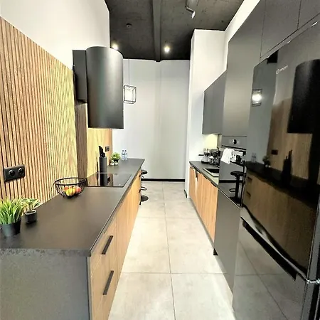 Apartment Luxury 100m2 Loft Design-apartment At Wawel + Netflix