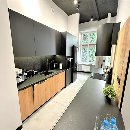 Apartment Luxury 100m2 Loft Design-apartment At Wawel + Netflix *