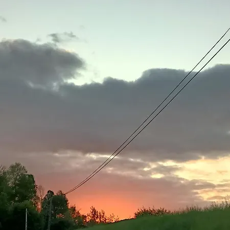 Sloneczne Pokoje W Parku Homestay *