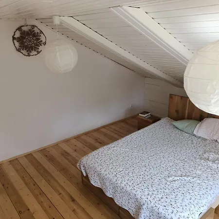 Sloneczne Pokoje W Parku Homestay Krakow