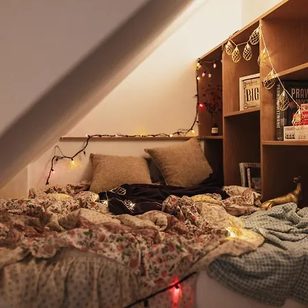 Apartment Zakatek *