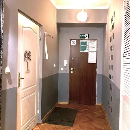 Hostel Real Vip