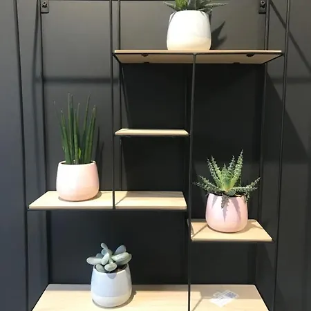 Apartament Steam Park - Spokojne Miejsce W Centrum Krakowa Kraków