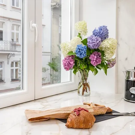 Apartment Premium In Parisian Style In The Heart Of Old