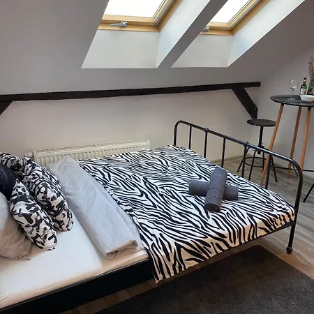 Apartament High Five *
