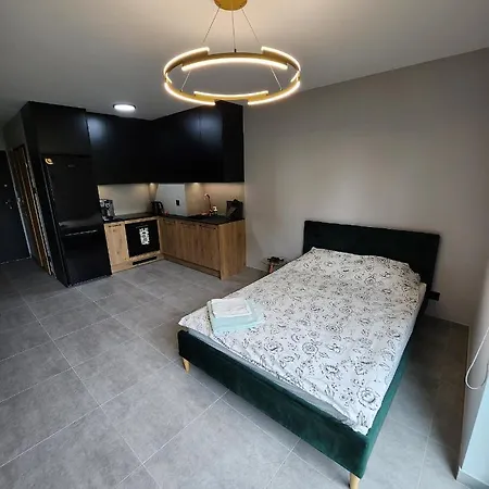 Vistula Loft , Spa , Sauna & Swimming Pool, Free Parking! Apartment