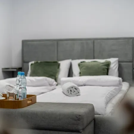 Apartment Malila Premium Cracow Centre Starowislna 43 Krakow