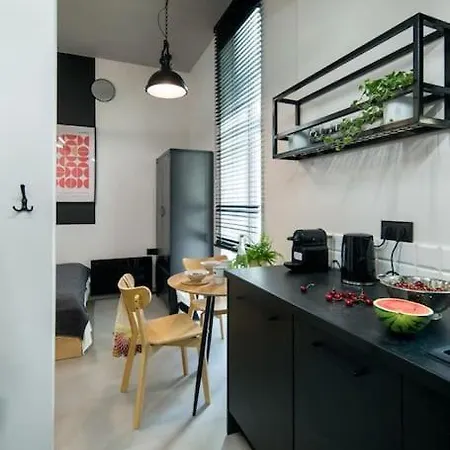Apartment Postindustrial Apt In The Center Krakow