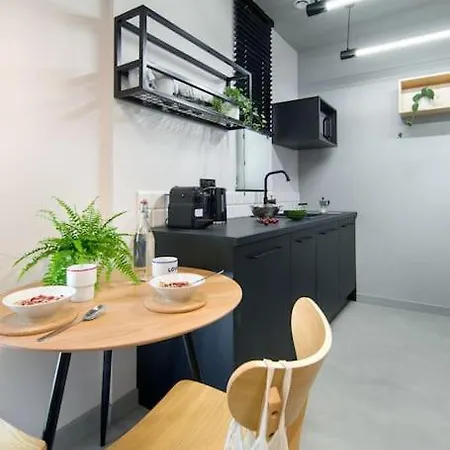 Postindustrial Apt In The Center Krakow