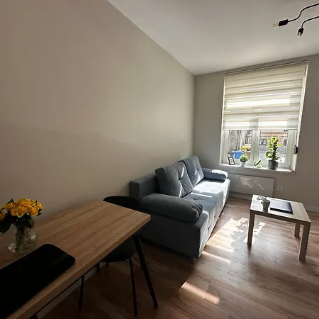 Your Elegance Apartment