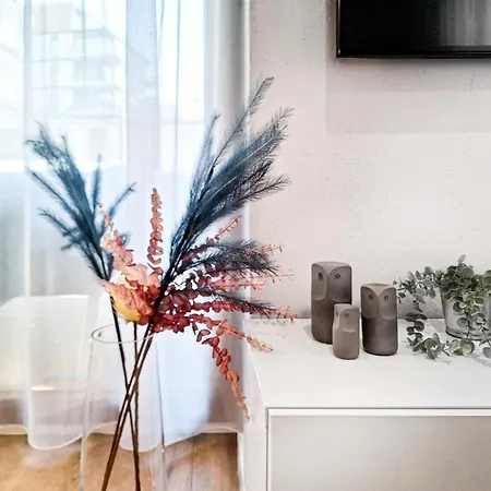 Apartment Classy 2-room With Private Garden And Air Conditioning- Old Town
