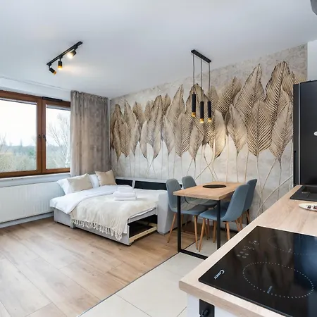 Tauron Arena Chic Studio Apartment *
